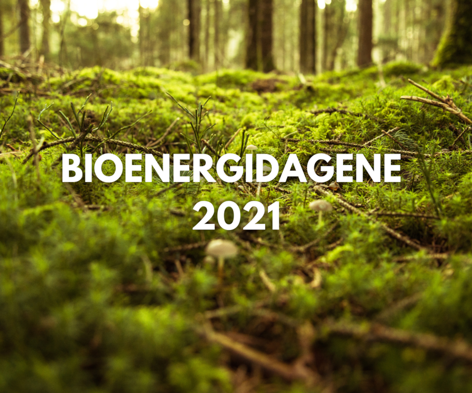 Grønn mose i skog med tekst "Bioenergidagene 2021"