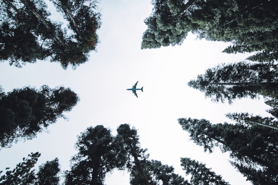 Fly i luften sett fra bakkeplan omringet av skog