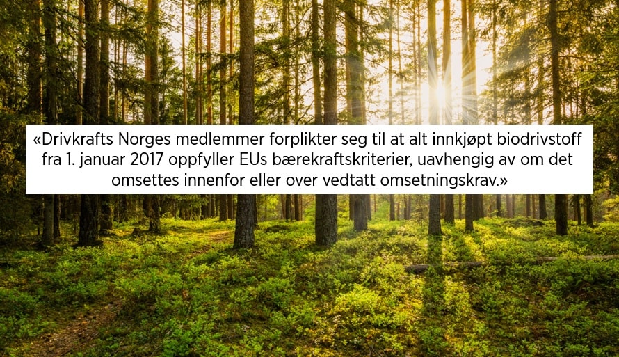 Skog med innfelt bransjeerklæring-sitat